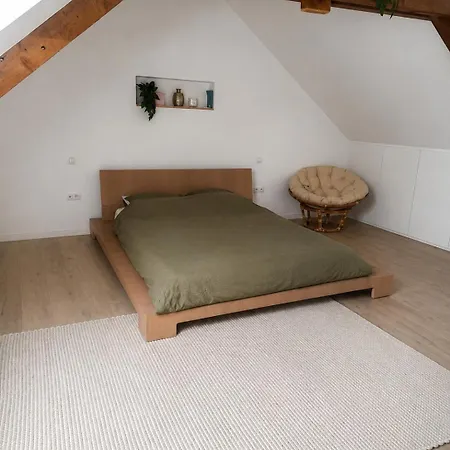 Casa Ellis